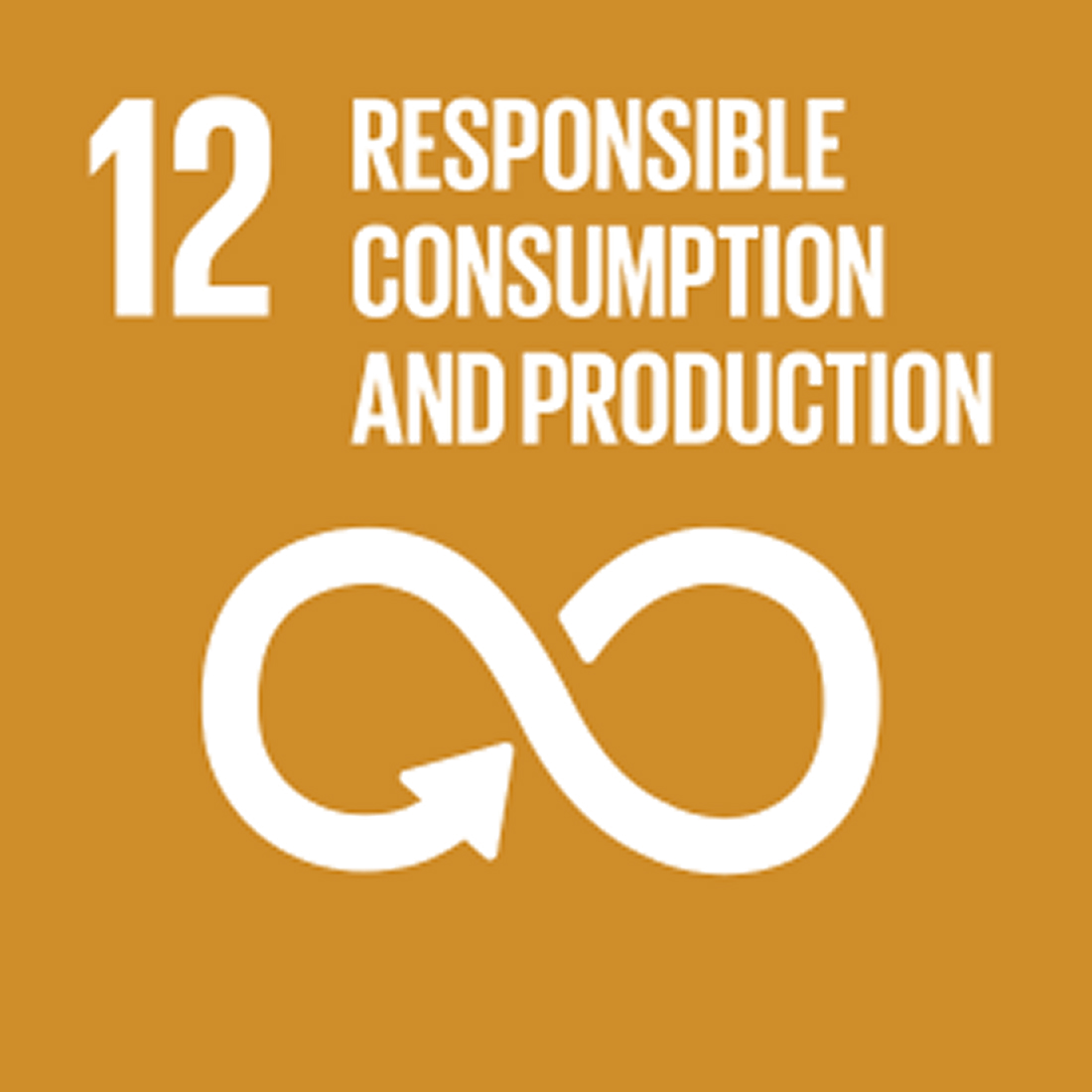 UNs sustainability goal 12_ Responsible, consumption and production