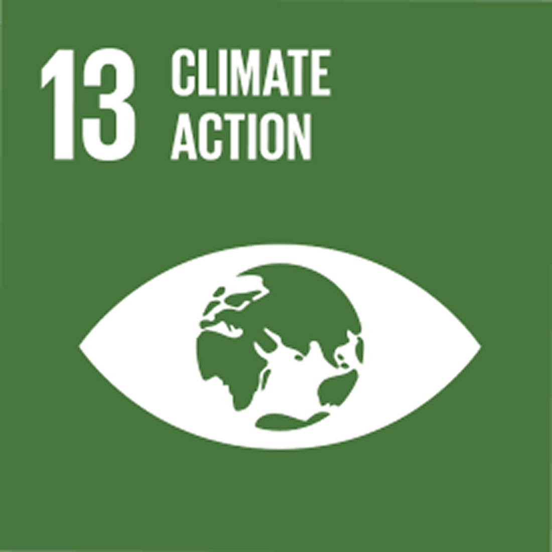 UNs sustainability goal 13_ Climate action