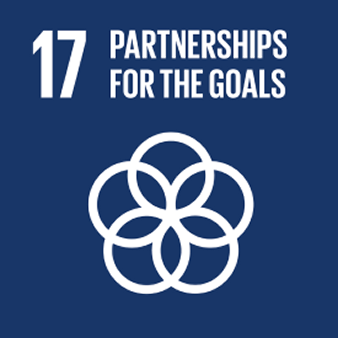 UNs sustainability goal 17_ Partnerships for the goals
