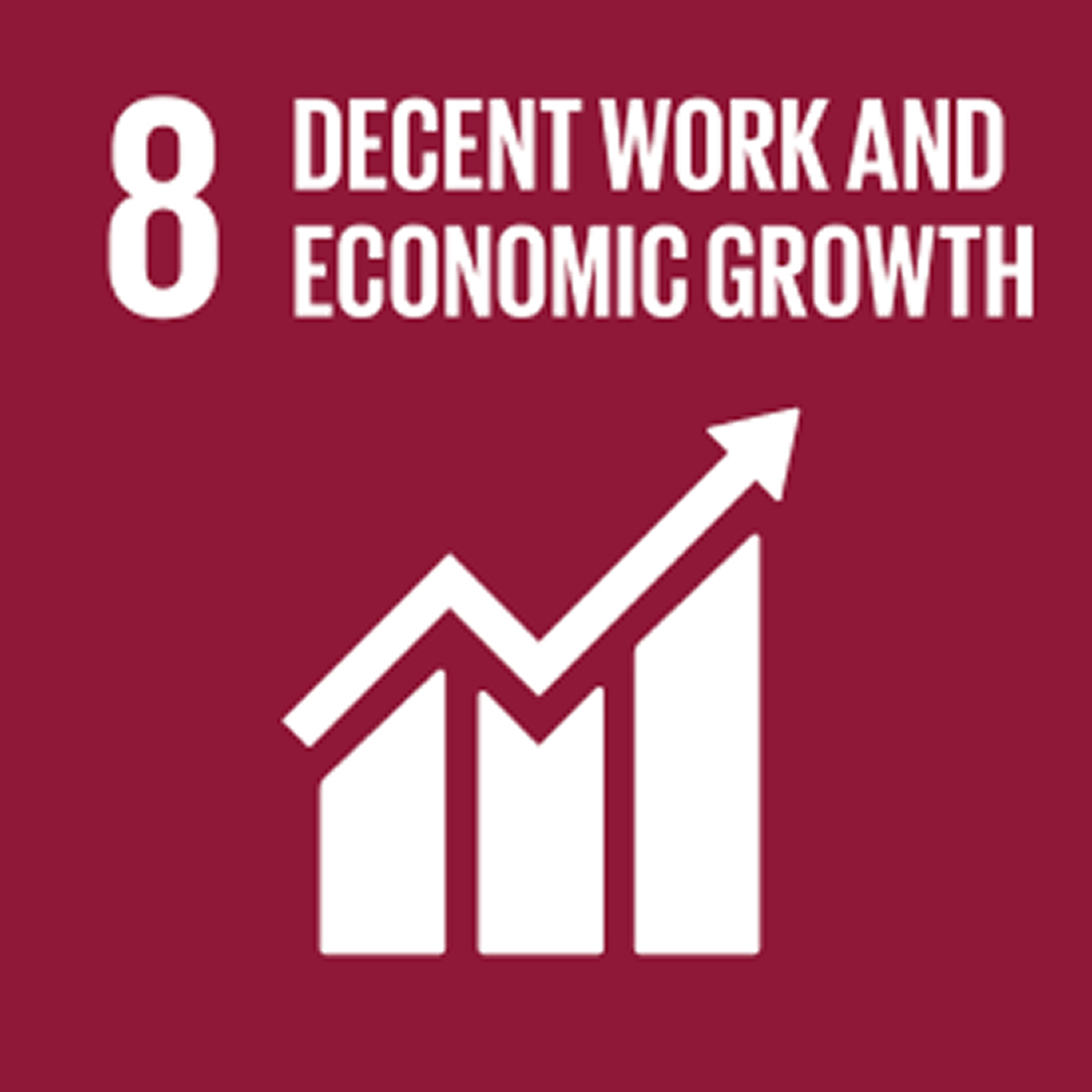 UNs sustainability goal 8_ Decent work and economic growth