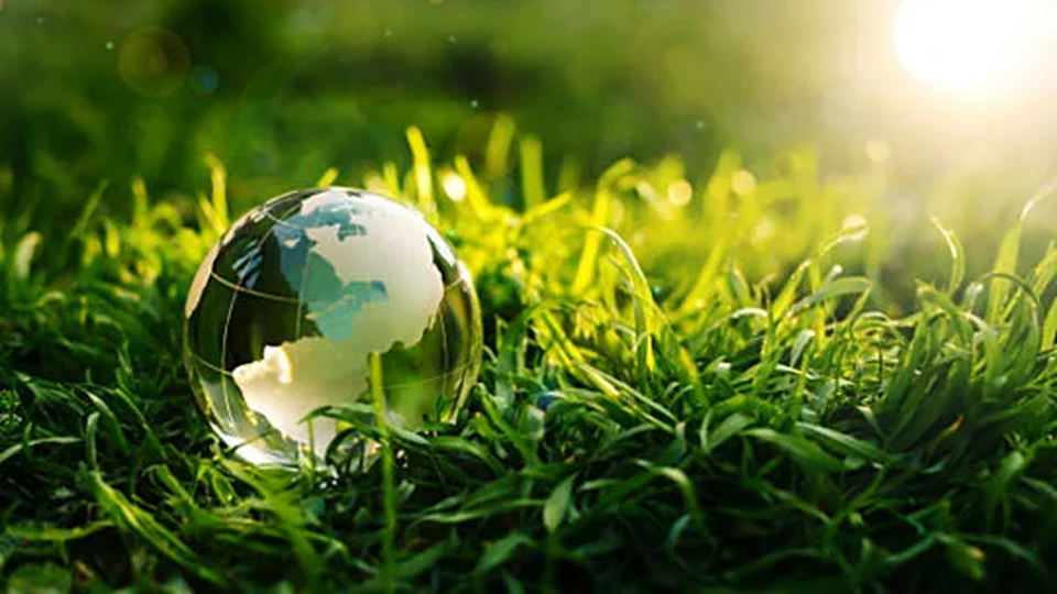 sustainability-environment-globe